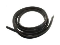 GM 22766409 Surround Weatherstrip, Front Driver Side