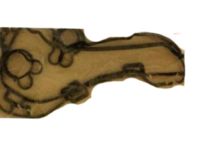 GM 12584084 Valve Cover Gasket