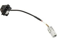 GM 23387830 Rear Camera, Driver Side