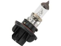 GM 13503418 Headlamp Bulb GM 13503418 Headlamp Bulb