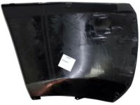 GM 15838397 End Cap, Black, Driver Side