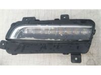 GM 20896556 Daytime Run Lamp, Passenger Side