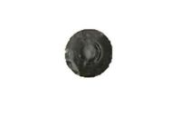 GM 20626295 Hinge Nut GM 20626295 Hinge Nut