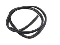 Chevrolet Malibu Weather Strip - 22610057 Weatherstrip, Rear