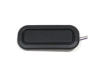 GM 22895519 Release Switch, Rear GM 22895519 Release Switch, Rear