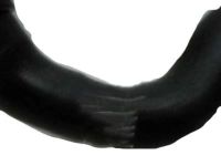 Chevrolet Malibu Radiator Hose - 25775994 Lower Hose