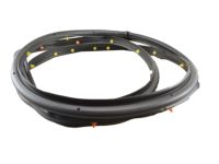 GM 95021341 Door Weatherstrip GM 95021341 Door Weatherstrip