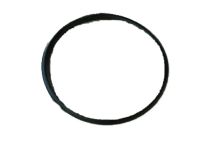 GM 15720397 Bearing Seal, Front