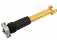 GM 23202881 Shock Absorber