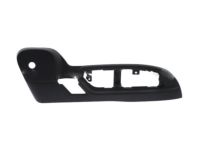 GM 25947613 Outer Finish Panel, Passenger Side
