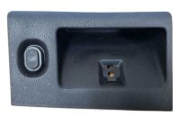 GM 23477968 Pull Handle, Black