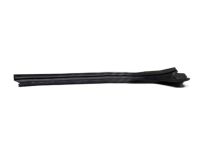 GM 20918021 Side Molding, Passenger Side GM 20918021 Side Molding, Passenger Side