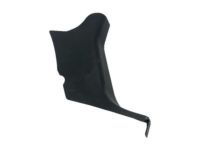 GM 10392646 Cowl Trim, Passenger Side