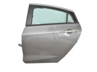 GM 23376621 Door Shell, Driver Side