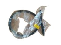 GM 13333141 Lower Weatherstrip, Driver Side