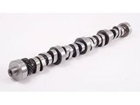 GM 55571921 Camshaft GM 55571921 Camshaft
