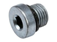 GM 23234990 Plug, Differential Clutch, Rear