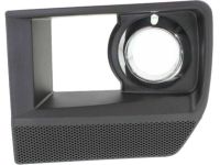 GM 25863013 Lamp Bezel, Front Driver Side