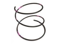 GM 88984512 Spring, Transfer Case Main Drive