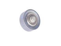 GM 12566893 Idler Pulley