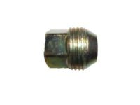 GM 10028615 Wheel Nut, Black