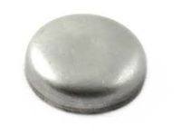 GM 94033681 Plug, Engine Fuel Intake Manifold