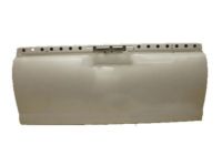 GM 20940096 Tail Gate, Rear