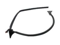 GM 25862440 Front Weatherstrip, Driver Side GM 25862440 Front Weatherstrip, Driver Side