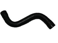 GM 96958148 Upper Hose
