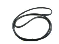 GM 23282071 Door Weatherstrip, Driver Side