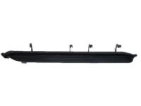 GM 15914682 Insert Strip, Black, Driver Side