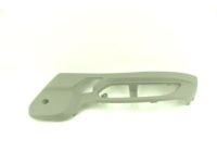 GM 20782242 Outer Finish Panel, Titanium, Driver Side