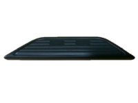 GM 15738682 Step Pad, Rear GM 15738682 Step Pad, Rear