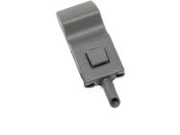 GM 15844618 Lock Knob, Titanium