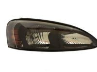 GM 25851403 Headlamp Assembly, Passenger Side