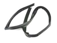 Chevrolet Uplander Weather Strip - 10294036 Run Weatherstrip, Front Driver Side