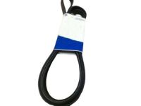 GM 12565763 Spring, Engine Valve