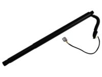 GM 84306929 Lift Cylinder, Driver Side GM 84306929 Lift Cylinder, Driver Side