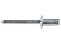 GM 11610383 End Cap Rivet GM 11610383 End Cap Rivet