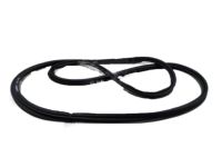 GM 20909102 Weatherstrip, Rear