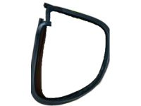 GM 15785353 Glass Weatherstrip, Front Passenger Side GM 15785353 Glass Weatherstrip, Front Passenger Side