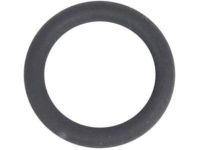 GM 55594385 Dipstick Seal