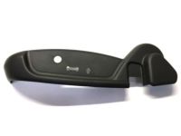 GM 88996328 Outer Finish Panel