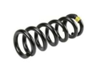 Buick LeSabre Coil Springs - 22197594 Coil Spring, Front