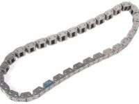 GM 10166352 Timing Chain