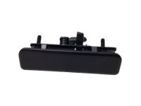 GM 12381253 Handle, Outside