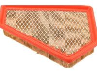 GM 25898499 Air Filter GM 25898499 Air Filter