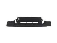 GM 10372929 Step Pad, Rear Center