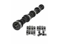 Pontiac Camshaft - 10166324 Camshaft