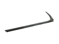 GM 22774086 Belt Weatherstrip, Rear Outer Driver Side